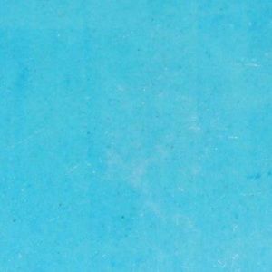 Meet your Posher, Arlene